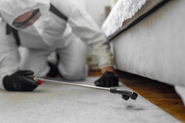 Professional Bed Bug Control technician working in Jacksonville, NC