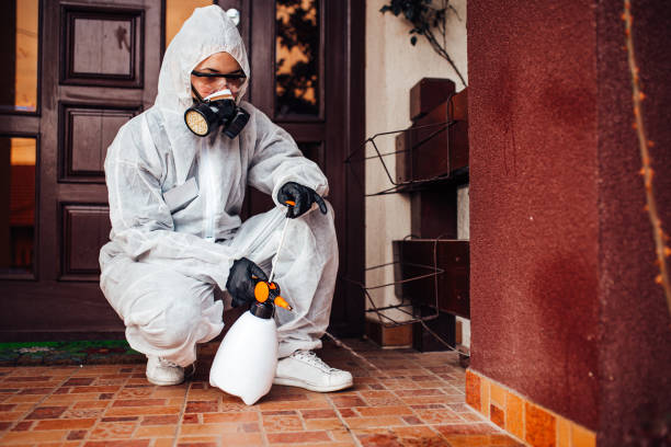 Reliable Bed Bug Control contractor in Jacksonville, NC by Nex Pest Control